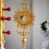 IMG-0446.jpg
