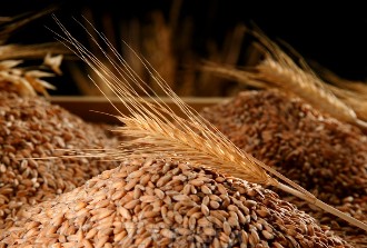 NIRO - młynki, zboża